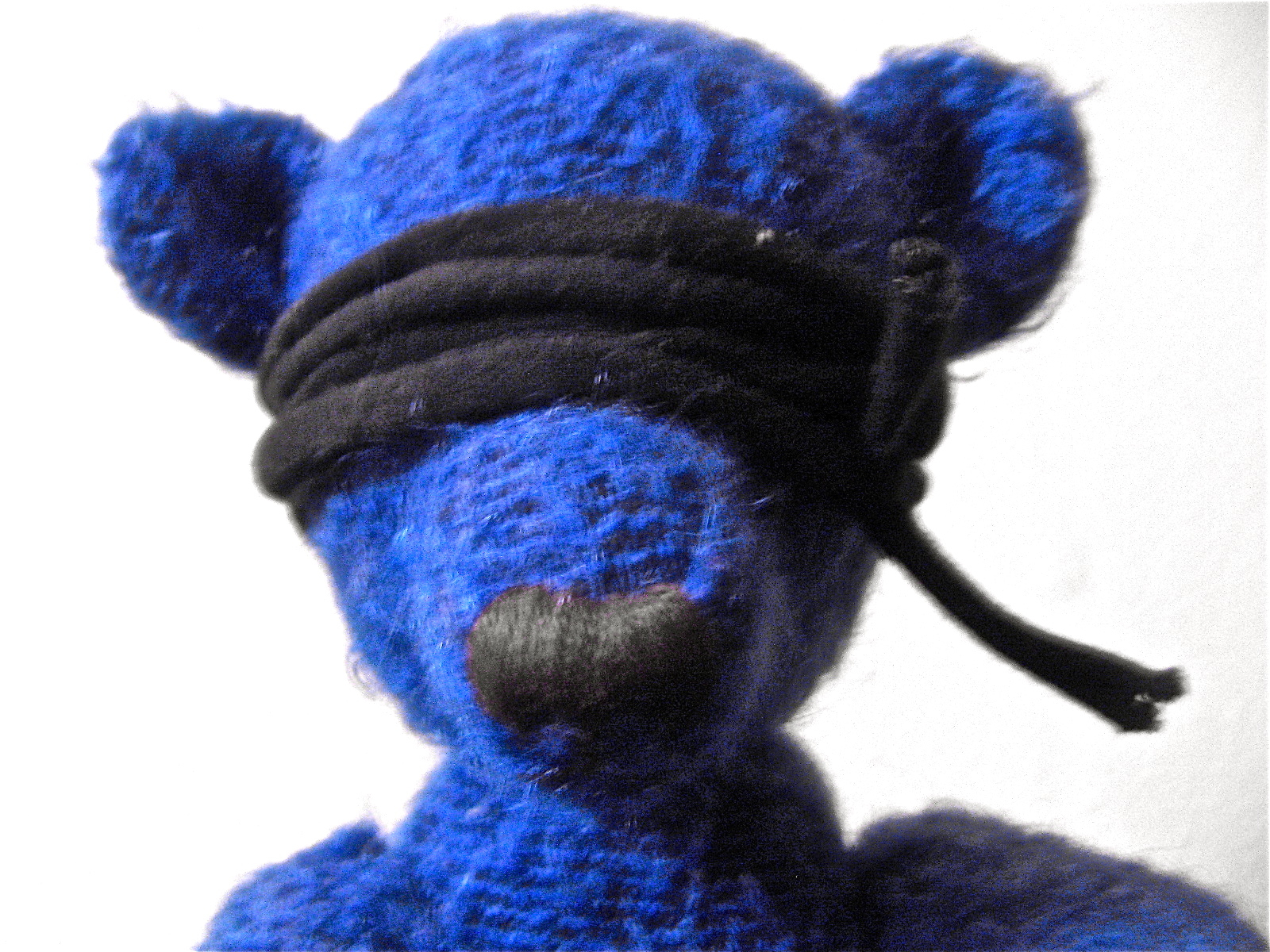 BlueBearBlind